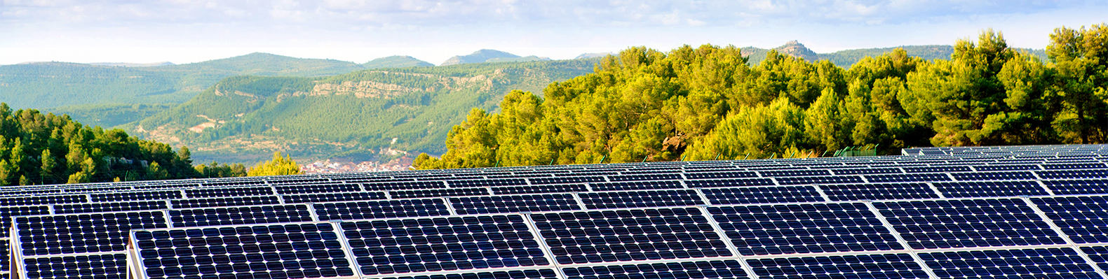 Renewable